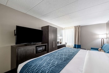 Standard Room, 1 King Bed, Non Smoking
