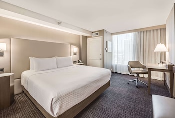Suite, 1 King Bed