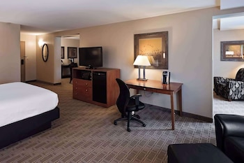 Executive Suite, 1 King Bed with Sofa bed, Non Smoking