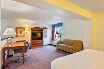 Room, 1 King Bed with Sofa bed