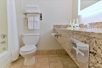 Room, 1 King Bed, Accessible