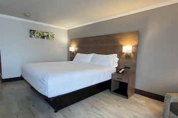 Room, 1 King Bed, Accessible (Roll In Shower)