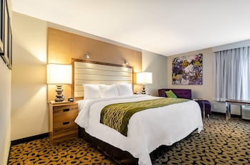 Standard Room, 1 King Bed, Non Smoking (Shower)