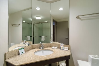 Standard Room, 1 King Bed, Non Smoking (Shower)
