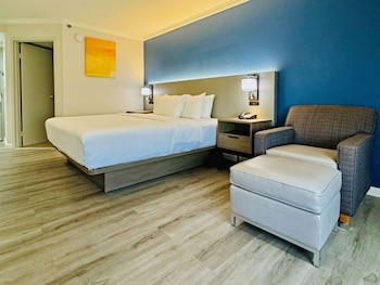 Suite, 1 King Bed with Sofa bed, Non Smoking