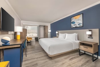 Room, 1 King Bed