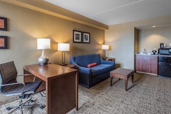 Suite, 1 King Bed with Sofa bed, Non Smoking (2 Person Sofa Bed)