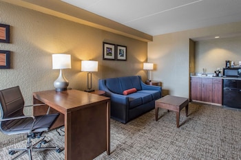 Suite, 1 King Bed with Sofa bed, Non Smoking (2 Person Sofa Bed)