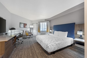 Standard Room, 1 King Bed, Accessible, Patio