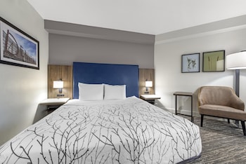 Standard Room, 1 King Bed, Accessible, Patio (Walk-in Shower)