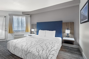 Standard Room, 1 King Bed, Accessible, Patio