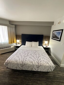 Standard Room, 1 King Bed, Accessible, Patio (Walk-in Shower)