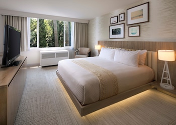 Room, 1 King Bed