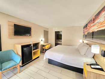 Room, 1 Queen Bed, Accessible, Non Smoking (Mobility/Hearing, Roll-In Shower)