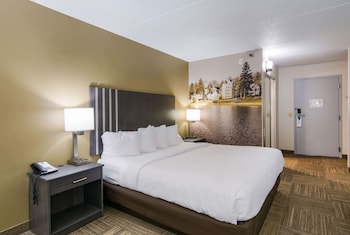 Standard Room, 1 King Bed, Non Smoking