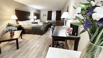 Pet Double Room