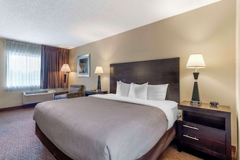 Standard Room, 1 King Bed, Non Smoking