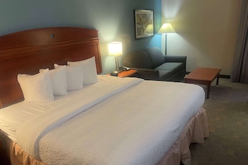 Room, 1 Double Bed, Accessible, Non Smoking (Mobility, Tub w/ Grab Bars)