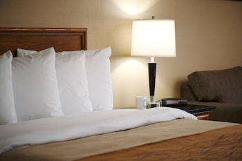 Deluxe Room, 1 King Bed, Refrigerator & Microwave, Ground Floor