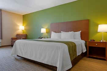 Standard Room, 1 King Bed, Non Smoking