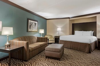 Standard Suite, 1 King Bed
