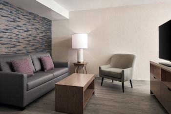 Deluxe Studio, 1 King Bed with Sofa bed