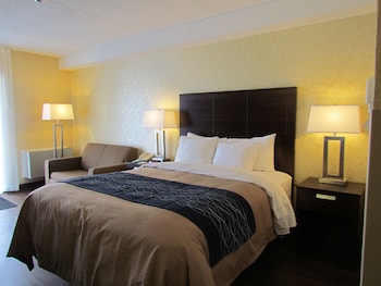 Comfort Care, Standard Room, 1 Queen Bed with Sofa bed, Non Smoking