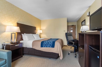 Room, 1 Queen Bed with Sofa bed, Non Smoking