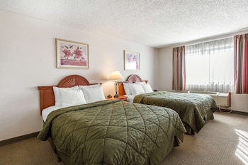 Standard Room, 2 Queen Beds, Refrigerator