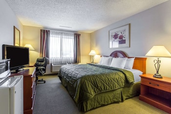 Standard Room, 1 King Bed, Non Smoking, Refrigerator