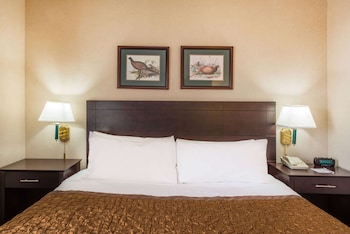 Room, 1 King Bed