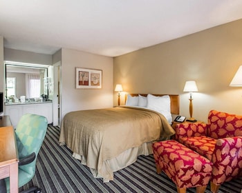 Room, 1 Queen Bed, Non Smoking