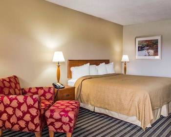 Standard Room, 1 King Bed, Non Smoking