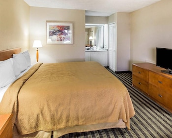 Standard Room, 1 King Bed, Non Smoking