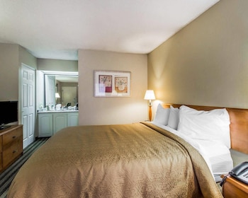 Room, 1 Queen Bed, Non Smoking