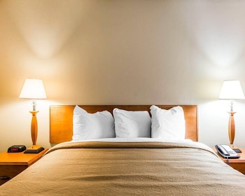 Room, 1 Queen Bed, Non Smoking