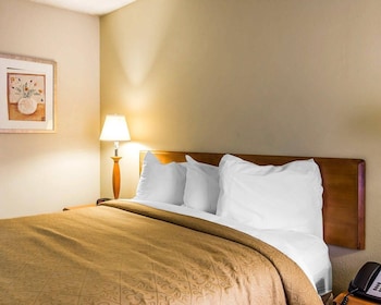 Room, 1 Queen Bed, Non Smoking