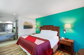 Room, 1 King Bed, Smoking, Jetted Tub