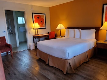 Standard Room, 1 Queen Bed, Accessible, Non Smoking