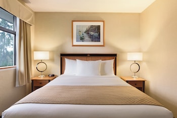 1 Queen Bed Non-pet friendly