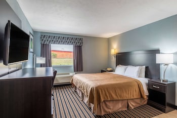 Standard Room, 1 King Bed, Non Smoking, Jetted Tub (1 Person Jetted Tub)
