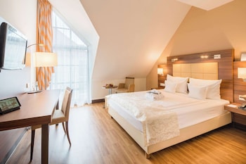Business Room, 1 Queen Bed