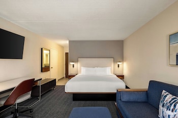 Room, 1 King Bed