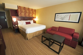 Room, 1 King Bed with Sofa bed