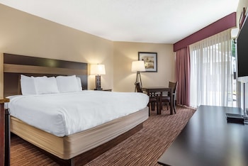 Standard Room, 1 King Bed, Non Smoking, Patio