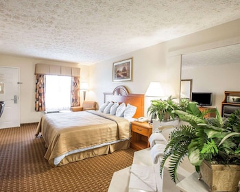 Room, 1 King Bed, Non Smoking