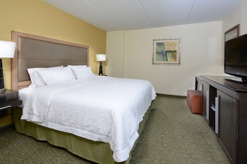 King Study 1 King Bed with Sofabed, Non Smoking (Hearing Accessible)