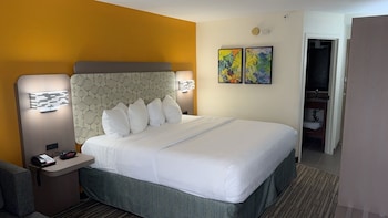 Room, 1 King Bed, Accessible, Non Smoking