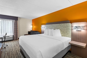Standard Room, 1 King Bed, Non Smoking
