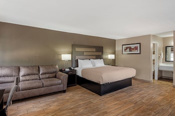 Suite, 1 King Bed with Sofa bed, Non Smoking (Efficiency)